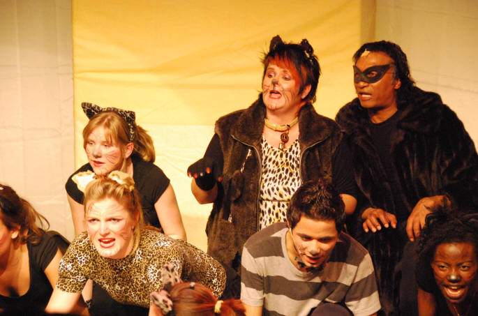 Katten_in_actie_Musicale_Dromen_2007